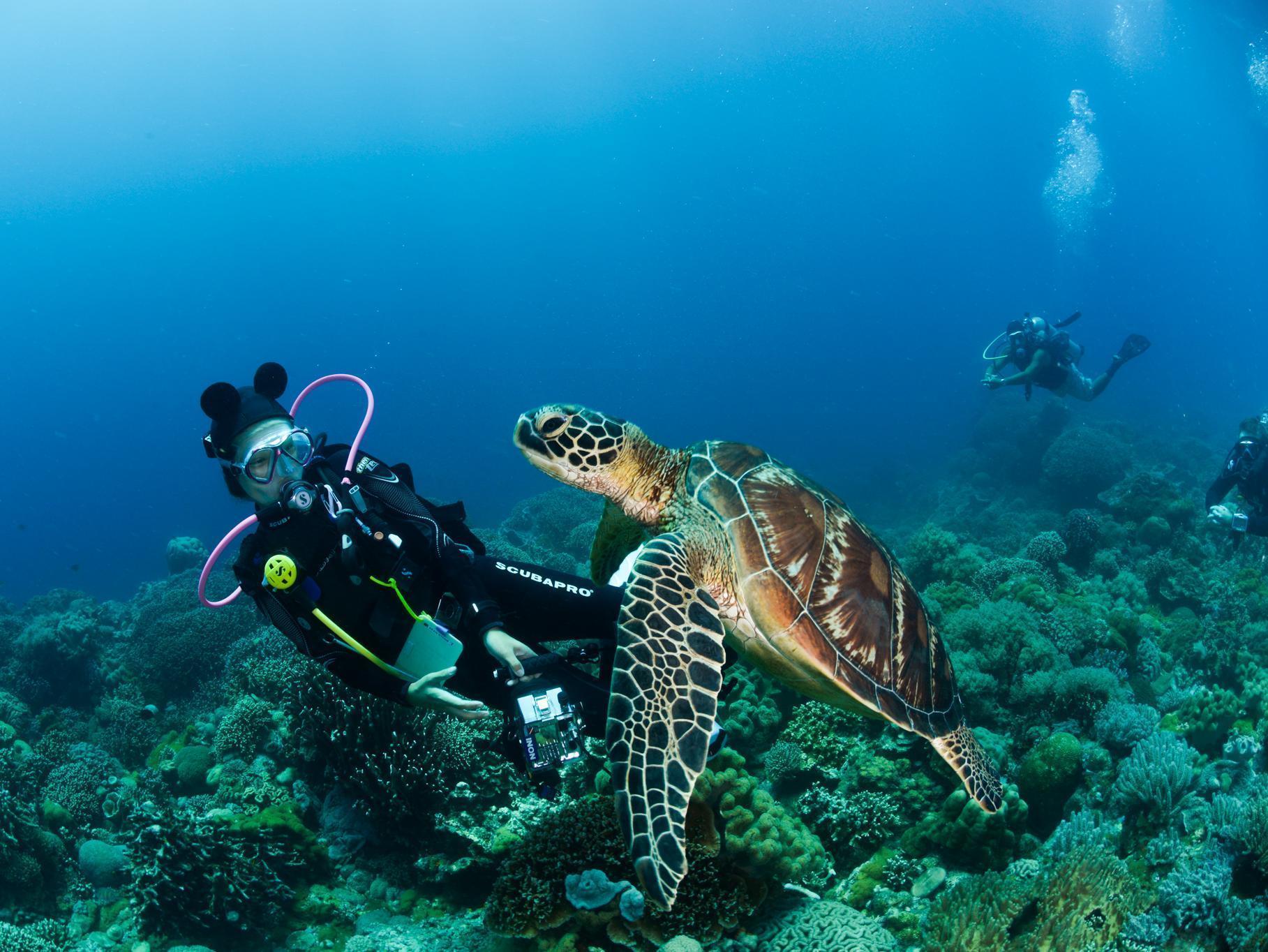 Acqua Dive Zamboanguita (Visayas) Exterior foto