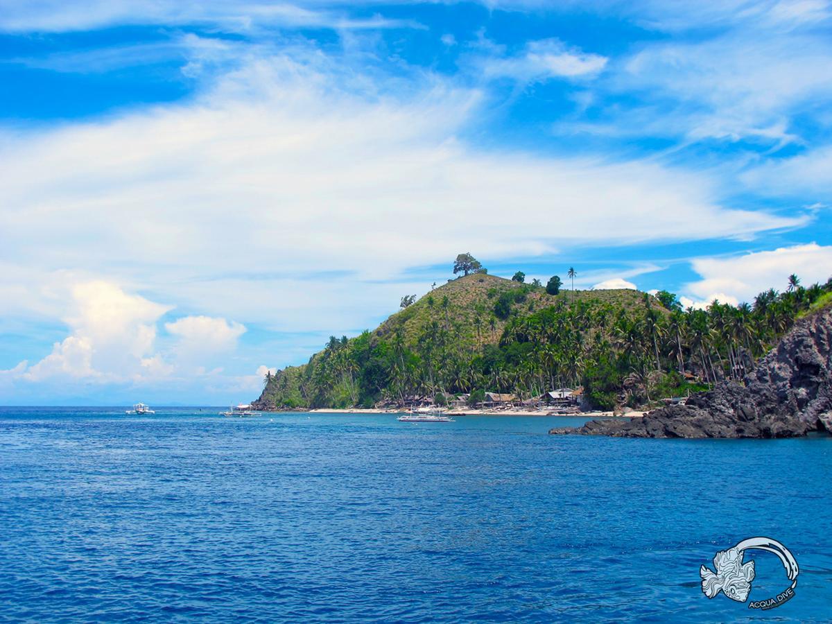 Acqua Dive Zamboanguita (Visayas) Exterior foto