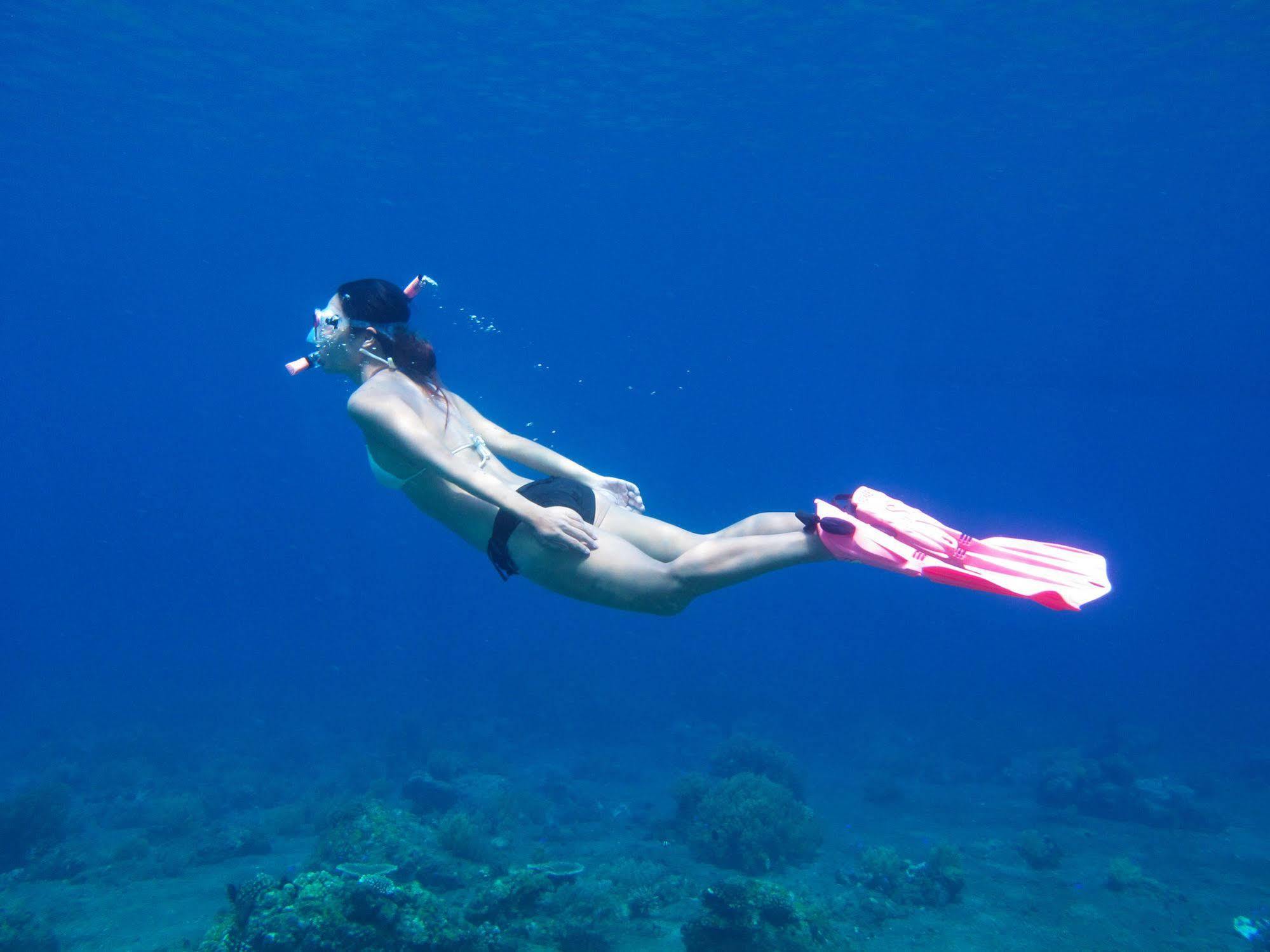 Acqua Dive Zamboanguita (Visayas) Exterior foto